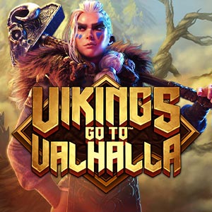 Vikings Go To Valhalla Slot Review