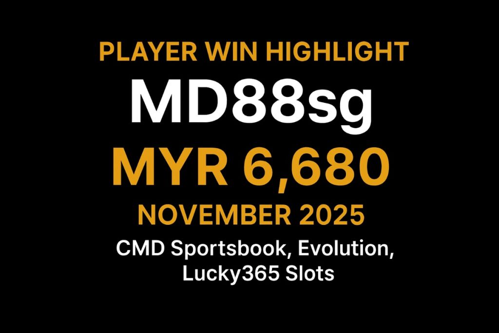 VWORLD VIP Player MD88sg